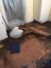 Clickin flooring4