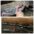 Sheetrock5