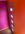 2252 fence2