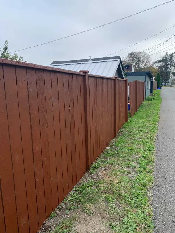 Back fence2