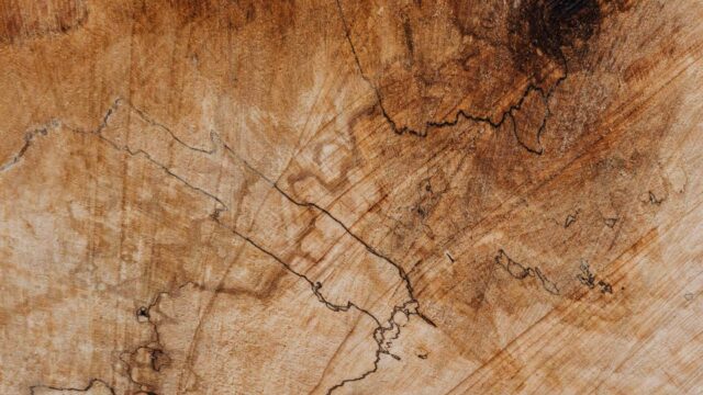 Wood slab background
